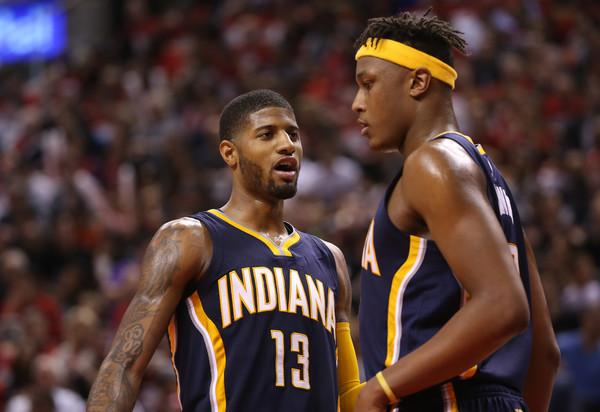 是降低黄蜂 是降低黄蜂